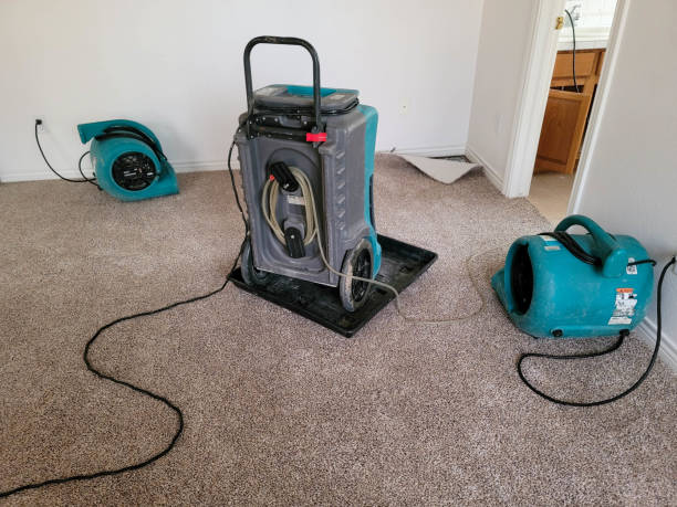 Best Mold removal after water damage  in Cambridge, OH