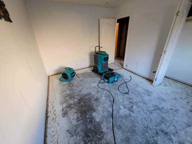 Best Water damage restoration company  in Cambridge, OH