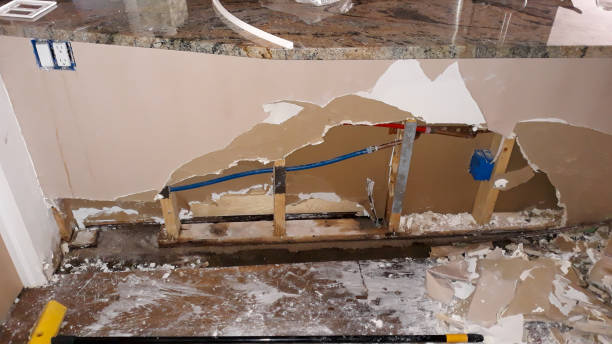 Best Mold removal after water damage  in Cambridge, OH