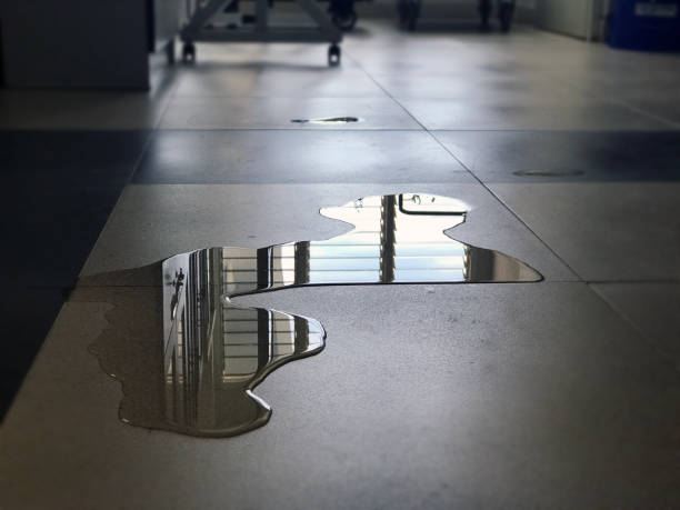 Best Professional water damage repair  in Cambridge, OH