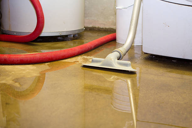 Best Basement water damage restoration  in Cambridge, OH