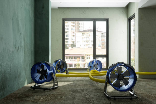 Best Water damage restoration company  in Cambridge, OH