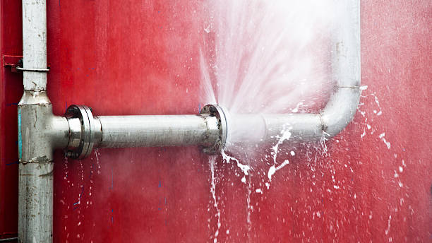 Best Mold removal after water damage  in Cambridge, OH